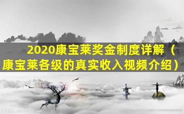 2020康宝莱奖金制度详解（康宝莱各级的真实收入视频介绍）
