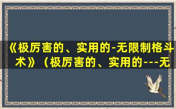 《极厉害的、实用的-无限制格斗术》（极厉害的、实用的---无限制格斗术pdf）