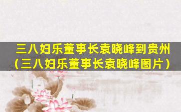 三八妇乐董事长袁晓峰到贵州（三八妇乐董事长袁晓峰图片）
