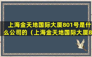 上海金天地国际大厦801号是什么公司的（上海金天地国际大厦801号是什么公司的房子）