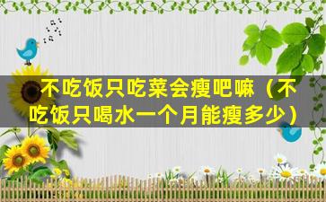 不吃饭只吃菜会瘦吧嘛（不吃饭只喝水一个月能瘦多少）