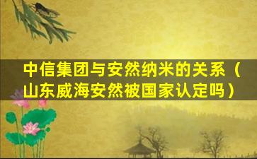 中信集团与安然纳米的关系（山东威海安然被国家认定吗）