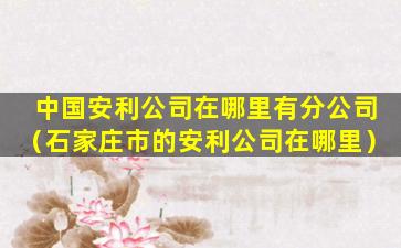 中国安利公司在哪里有分公司（石家庄市的安利公司在哪里）