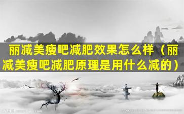 丽减美瘦吧减肥效果怎么样（丽减美瘦吧减肥原理是用什么减的）