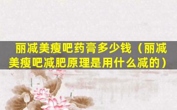 丽减美瘦吧药膏多少钱（丽减美瘦吧减肥原理是用什么减的）