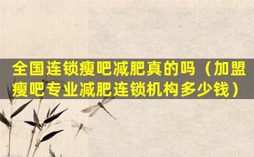 全国连锁瘦吧减肥真的吗（加盟瘦吧专业减肥连锁机构多少钱）
