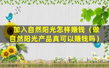 加入自然阳光怎样赚钱（做自然阳光产品真可以赚钱吗）