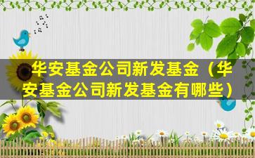 华安基金公司新发基金（华安基金公司新发基金有哪些）