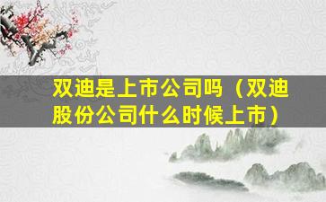 双迪是上市公司吗（双迪股份公司什么时候上市）