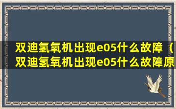 双迪氢氧机出现e05什么故障（双迪氢氧机出现e05什么故障原因）