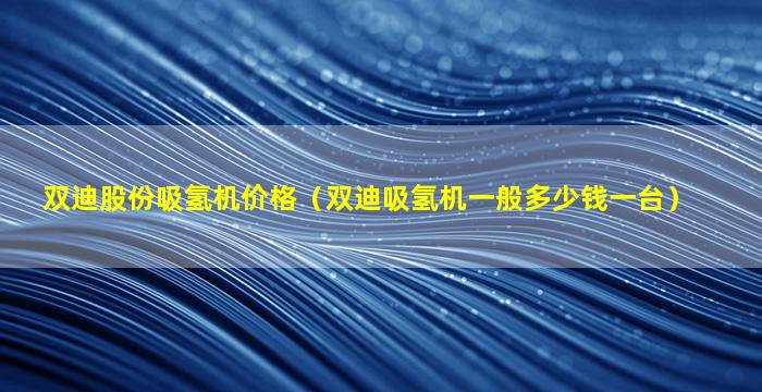 双迪股份吸氢机价格（双迪吸氢机一般多少钱一台）