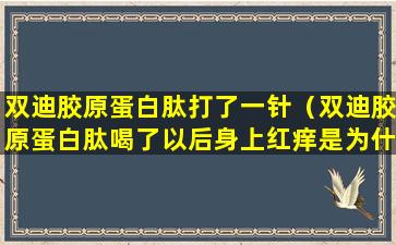 双迪胶原蛋白肽打了一针（双迪胶原蛋白肽喝了以后身上红痒是为什么）