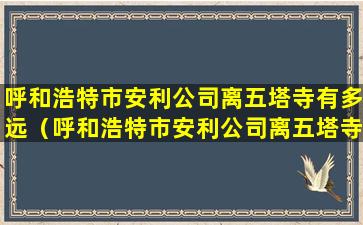 呼和浩特市安利公司离五塔寺有多远（呼和浩特市安利公司离五塔寺有多远啊）