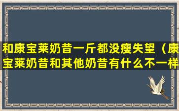 和康宝莱奶昔一斤都没瘦失望（康宝莱奶昔和其他奶昔有什么不一样）