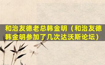 和治友德老总韩金明（和治友德韩金明参加了几次达沃斯论坛）