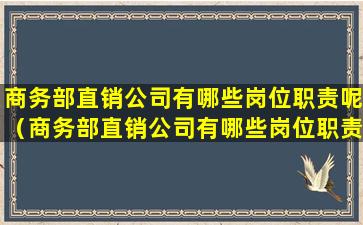 商务部直销公司有哪些岗位职责呢（商务部直销公司有哪些岗位职责呢图片）