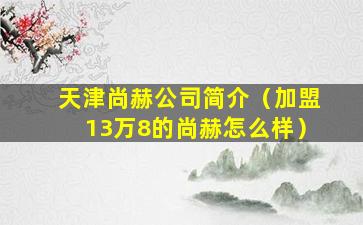 天津尚赫公司简介（加盟13万8的尚赫怎么样）