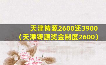 天津铸源2600还3900（天津铸源奖金制度2600）