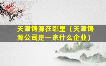 天津铸源在哪里（天津铸源公司是一家什么企业）