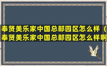奉贤美乐家中国总部园区怎么样（奉贤美乐家中国总部园区怎么样啊）