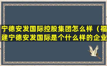 宁德安发国际控股集团怎么样（福建宁德安发国际是个什么样的企业）