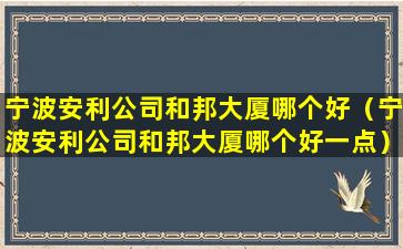 宁波安利公司和邦大厦哪个好（宁波安利公司和邦大厦哪个好一点）