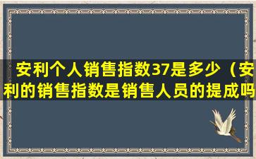 安利个人销售指数37是多少（安利的销售指数是销售人员的提成吗）
