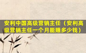 安利中国高级营销主任（安利高级营销主任一个月能赚多少钱）