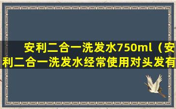 安利二合一洗发水750ml（安利二合一洗发水经常使用对头发有什么好的效果）