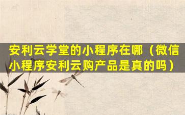 安利云学堂的小程序在哪（微信小程序安利云购产品是真的吗）