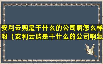 安利云购是干什么的公司啊怎么样呀（安利云购是干什么的公司啊怎么样呀知乎）