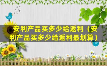安利产品买多少给返利（安利产品买多少给返利最划算）