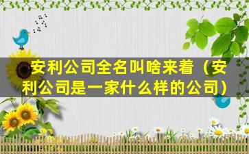 安利公司全名叫啥来着（安利公司是一家什么样的公司）