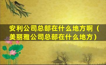 安利公司总部在什么地方啊（美丽雅公司总部在什么地方）