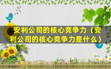 安利公司的核心竞争力（安利公司的核心竞争力是什么）