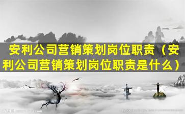 安利公司营销策划岗位职责（安利公司营销策划岗位职责是什么）