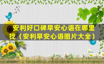 安利好口碑早安心语在哪里找（安利早安心语图片大全）