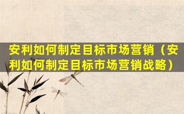 安利如何制定目标市场营销（安利如何制定目标市场营销战略）