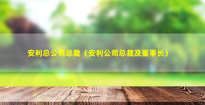 安利总公司总裁（安利公司总裁及董事长）