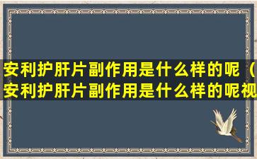 安利护肝片副作用是什么样的呢（安利护肝片副作用是什么样的呢视频）