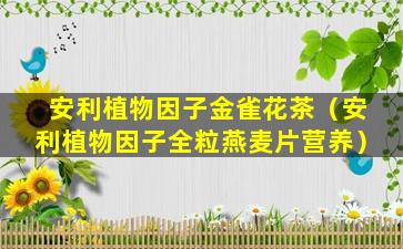 安利植物因子金雀花茶（安利植物因子全粒燕麦片营养）