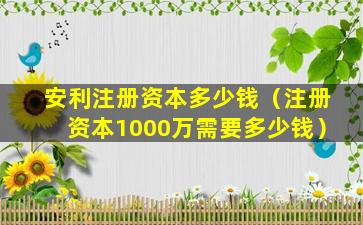 安利注册资本多少钱（注册资本1000万需要多少钱）