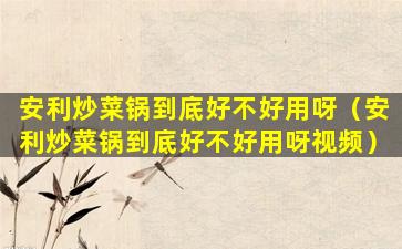 安利炒菜锅到底好不好用呀（安利炒菜锅到底好不好用呀视频）