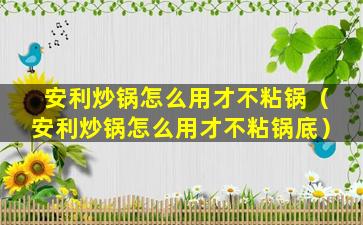 安利炒锅怎么用才不粘锅（安利炒锅怎么用才不粘锅底）