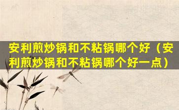 安利煎炒锅和不粘锅哪个好（安利煎炒锅和不粘锅哪个好一点）