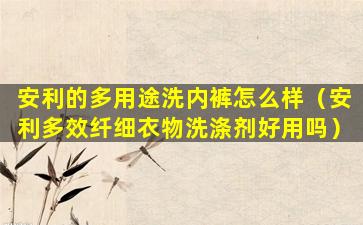 安利的多用途洗内裤怎么样（安利多效纤细衣物洗涤剂好用吗）