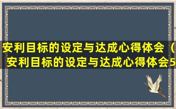 安利目标的设定与达成心得体会（安利目标的设定与达成心得体会500字）