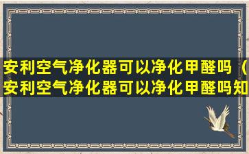 安利空气净化器可以净化甲醛吗（安利空气净化器可以净化甲醛吗知乎）