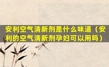 安利空气清新剂是什么味道（安利的空气清新剂孕妇可以用吗）