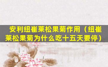 安利纽崔莱松果菊作用（纽崔莱松果菊为什么吃十五天要停）